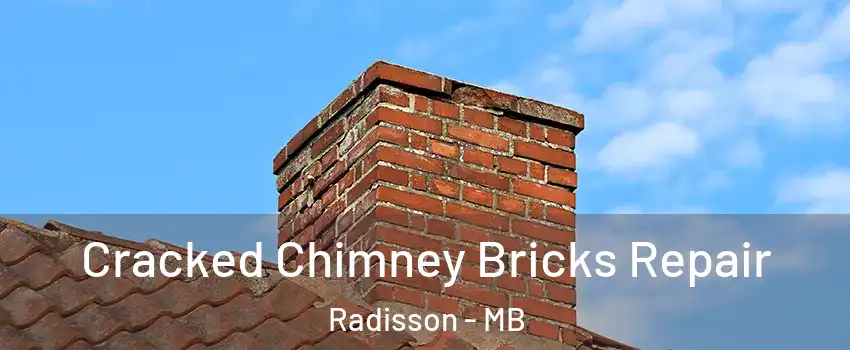  Cracked Chimney Bricks Repair Radisson - MB