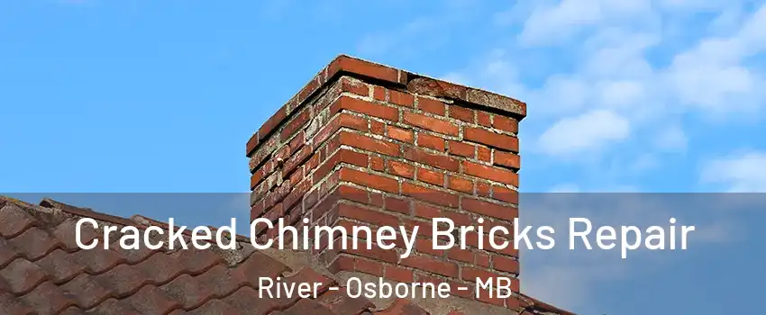  Cracked Chimney Bricks Repair River - Osborne - MB
