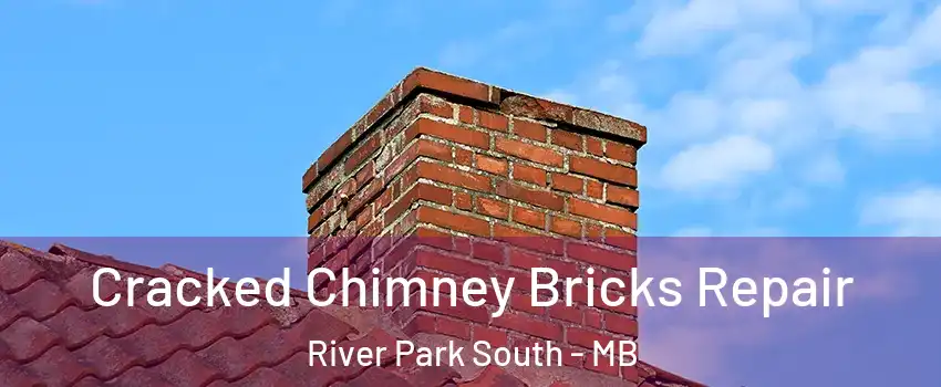  Cracked Chimney Bricks Repair River Park South - MB