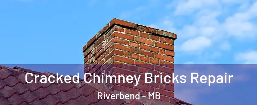  Cracked Chimney Bricks Repair Riverbend - MB