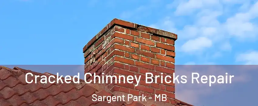  Cracked Chimney Bricks Repair Sargent Park - MB