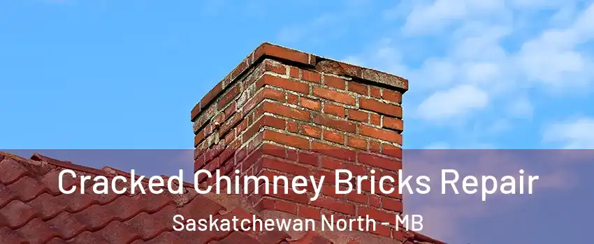  Cracked Chimney Bricks Repair Saskatchewan North - MB