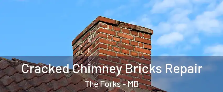  Cracked Chimney Bricks Repair The Forks - MB