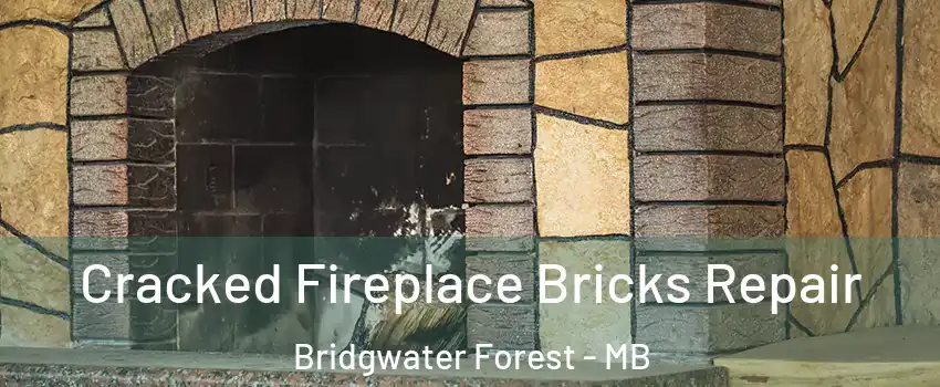  Cracked Fireplace Bricks Repair Bridgwater Forest - MB