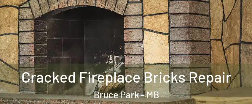  Cracked Fireplace Bricks Repair Bruce Park - MB