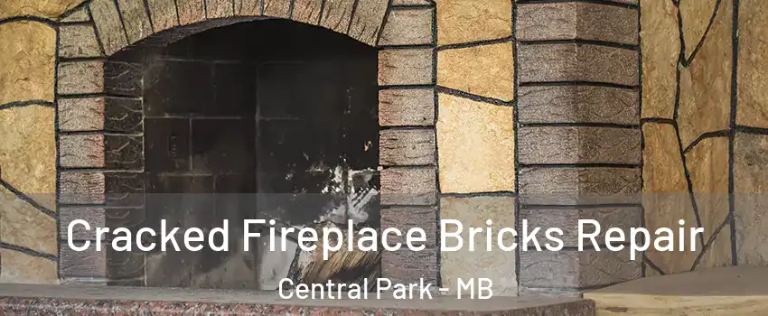  Cracked Fireplace Bricks Repair Central Park - MB