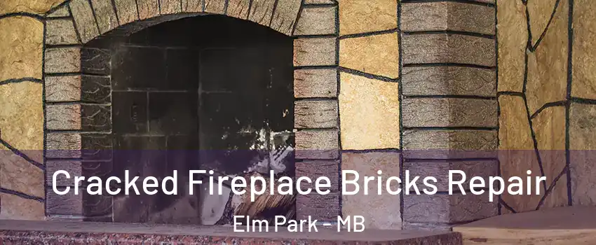  Cracked Fireplace Bricks Repair Elm Park - MB