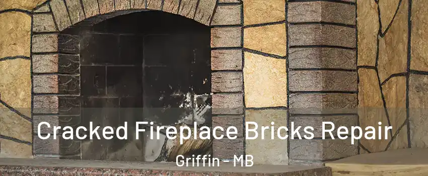 Cracked Fireplace Bricks Repair Griffin - MB