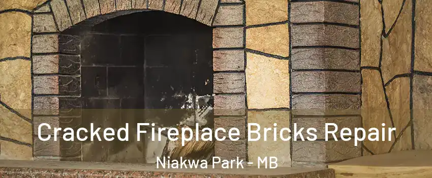  Cracked Fireplace Bricks Repair Niakwa Park - MB