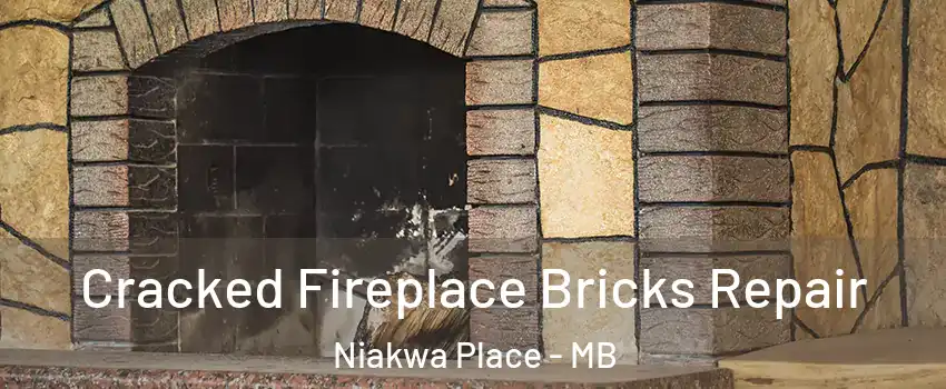  Cracked Fireplace Bricks Repair Niakwa Place - MB