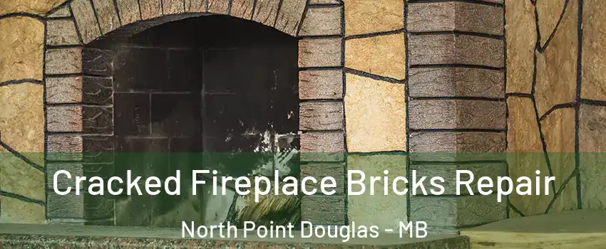  Cracked Fireplace Bricks Repair North Point Douglas - MB