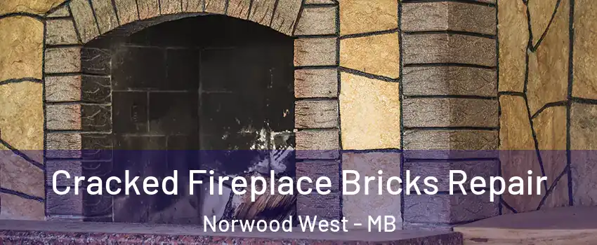  Cracked Fireplace Bricks Repair Norwood West - MB