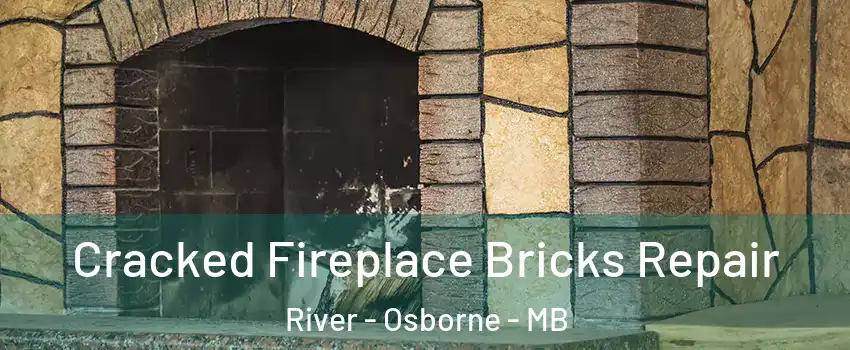  Cracked Fireplace Bricks Repair River - Osborne - MB