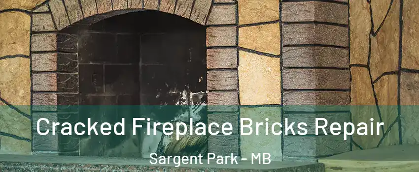  Cracked Fireplace Bricks Repair Sargent Park - MB