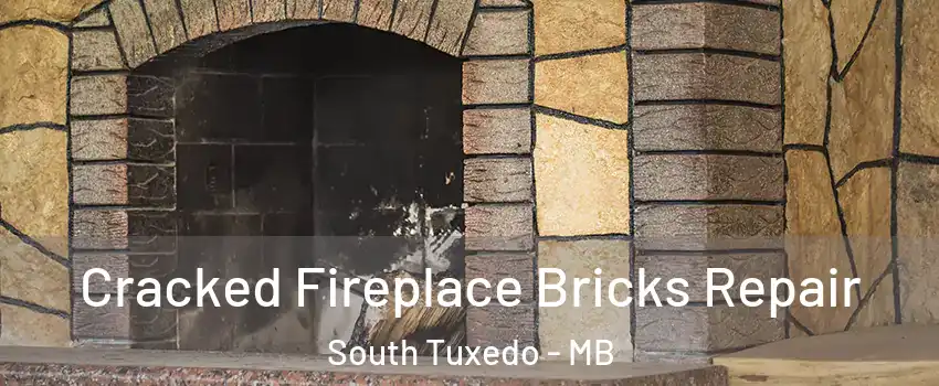  Cracked Fireplace Bricks Repair South Tuxedo - MB
