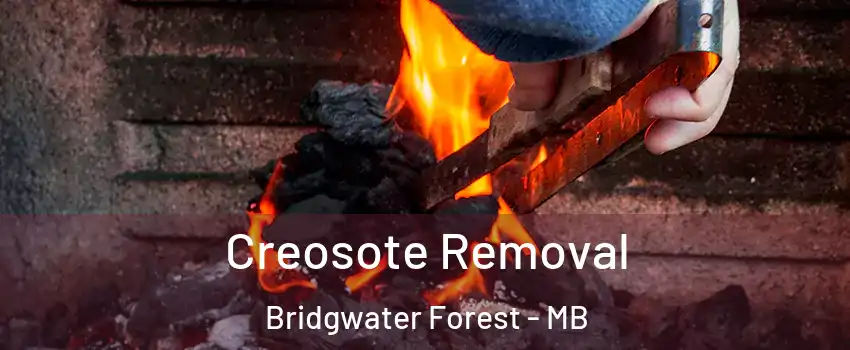  Creosote Removal Bridgwater Forest - MB