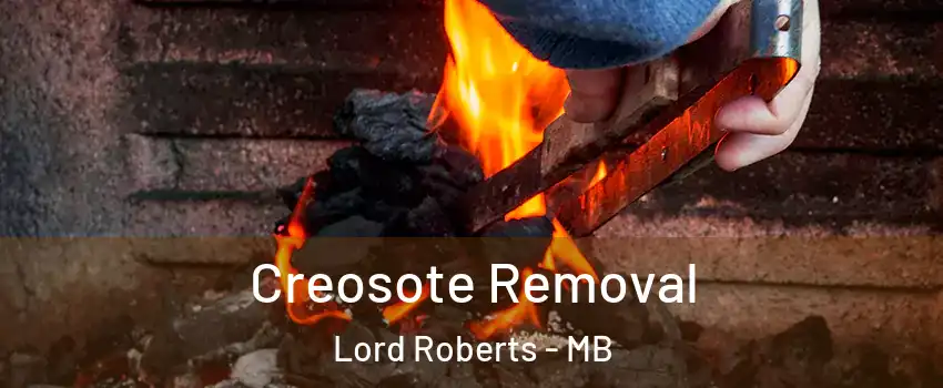  Creosote Removal Lord Roberts - MB