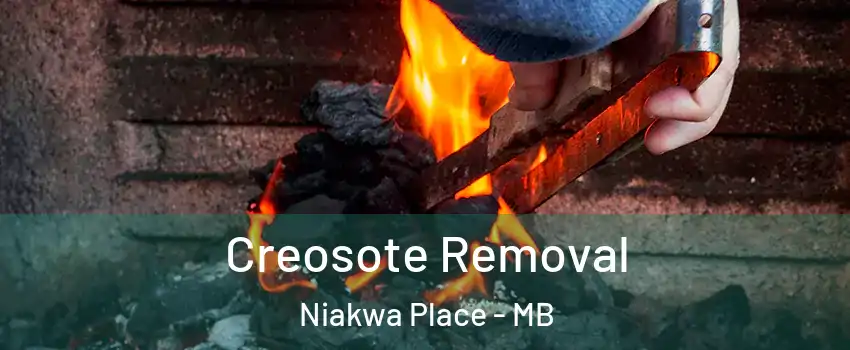  Creosote Removal Niakwa Place - MB