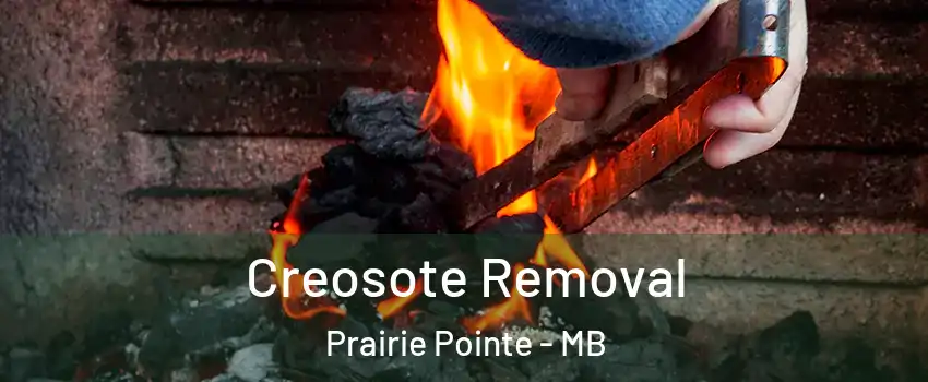  Creosote Removal Prairie Pointe - MB