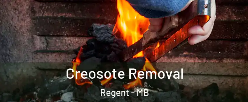  Creosote Removal Regent - MB
