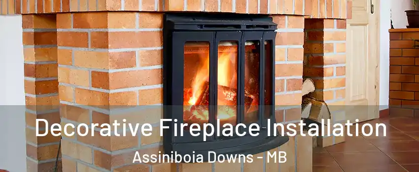  Decorative Fireplace Installation Assiniboia Downs - MB