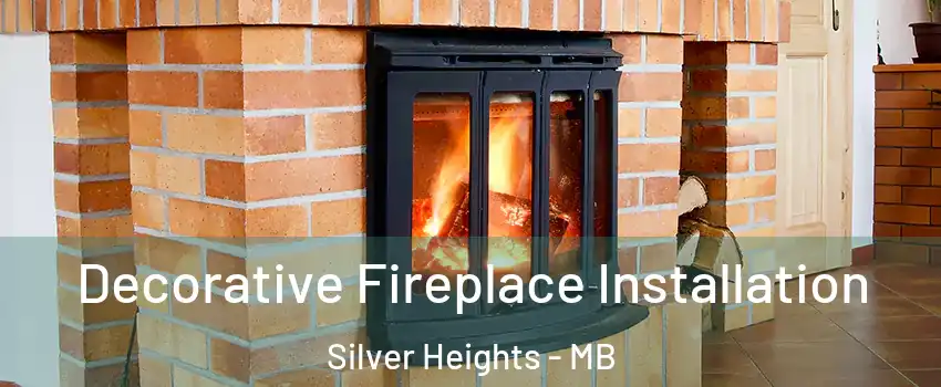  Decorative Fireplace Installation Silver Heights - MB