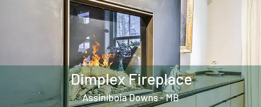  Dimplex Fireplace Assiniboia Downs - MB