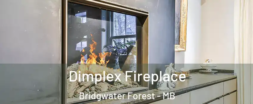  Dimplex Fireplace Bridgwater Forest - MB