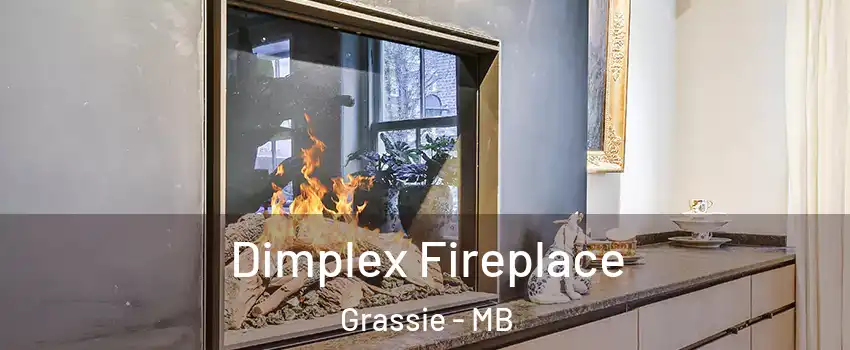  Dimplex Fireplace Grassie - MB