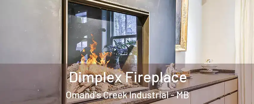  Dimplex Fireplace Omand's Creek Industrial - MB
