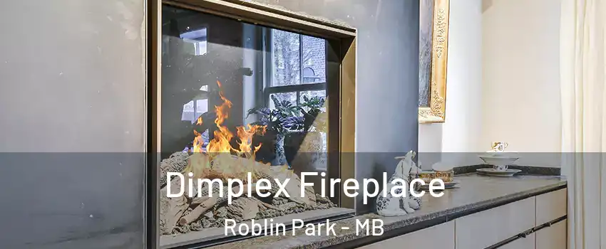 Dimplex Fireplace Roblin Park - MB