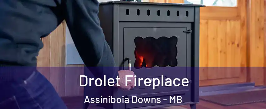  Drolet Fireplace Assiniboia Downs - MB