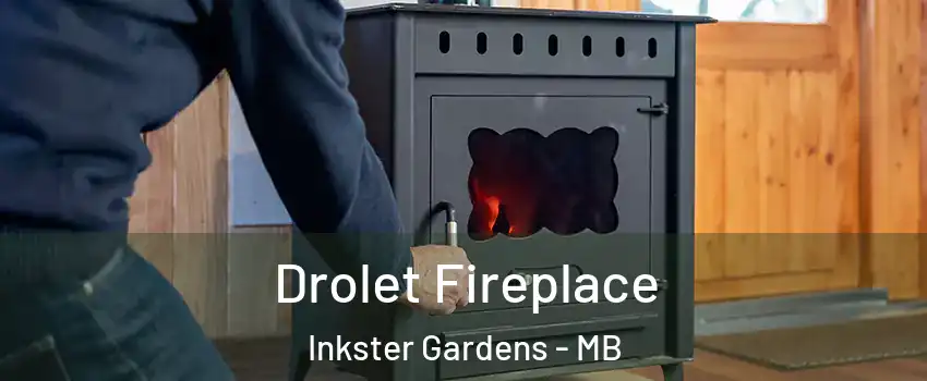  Drolet Fireplace Inkster Gardens - MB