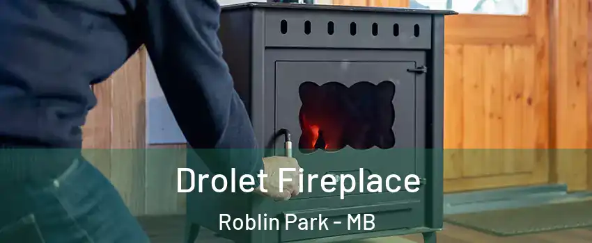  Drolet Fireplace Roblin Park - MB