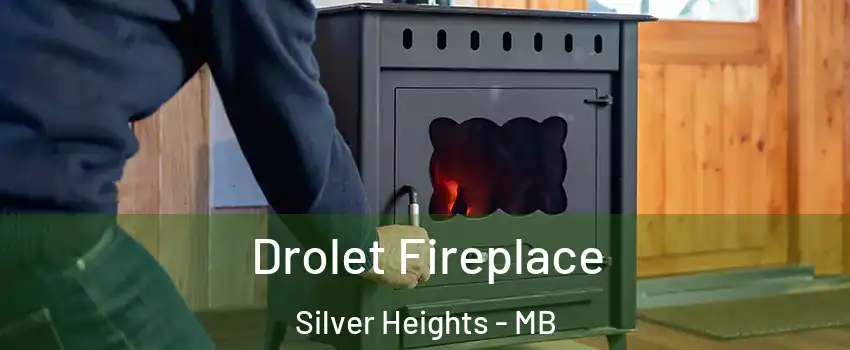  Drolet Fireplace Silver Heights - MB