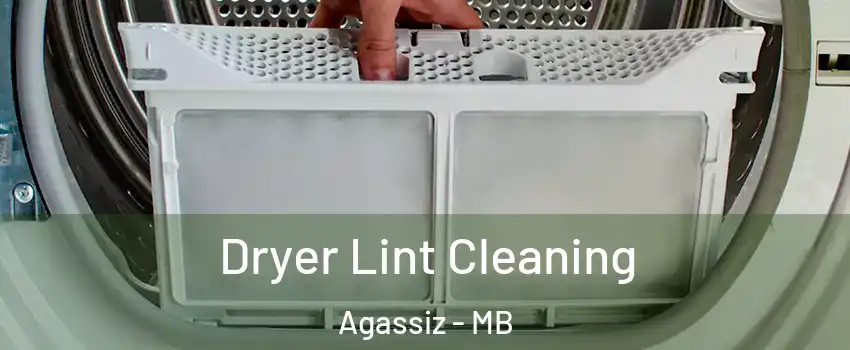  Dryer Lint Cleaning Agassiz - MB