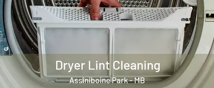  Dryer Lint Cleaning Assiniboine Park - MB
