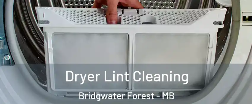  Dryer Lint Cleaning Bridgwater Forest - MB