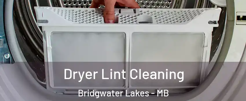  Dryer Lint Cleaning Bridgwater Lakes - MB