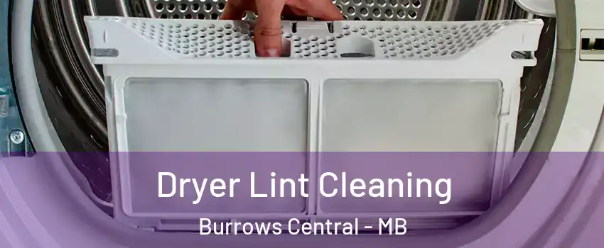  Dryer Lint Cleaning Burrows Central - MB