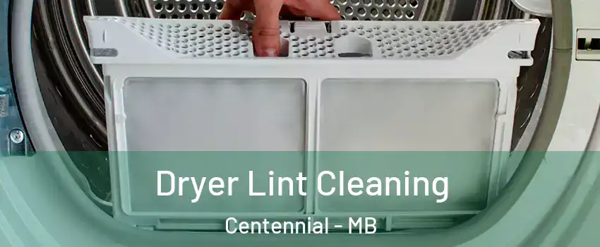  Dryer Lint Cleaning Centennial - MB