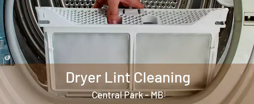  Dryer Lint Cleaning Central Park - MB