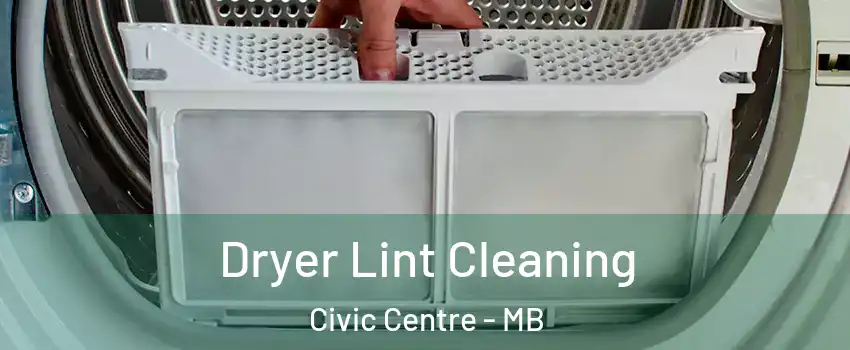  Dryer Lint Cleaning Civic Centre - MB