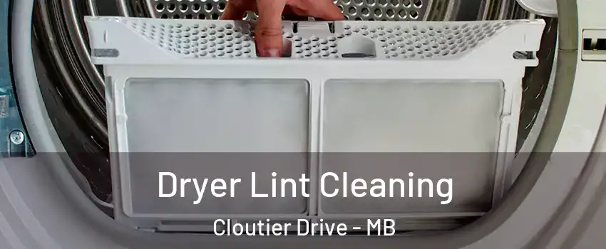  Dryer Lint Cleaning Cloutier Drive - MB