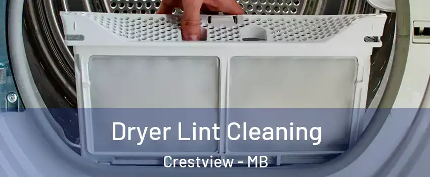  Dryer Lint Cleaning Crestview - MB