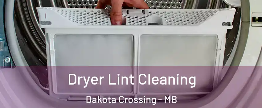  Dryer Lint Cleaning Dakota Crossing - MB