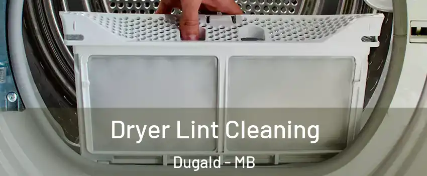  Dryer Lint Cleaning Dugald - MB