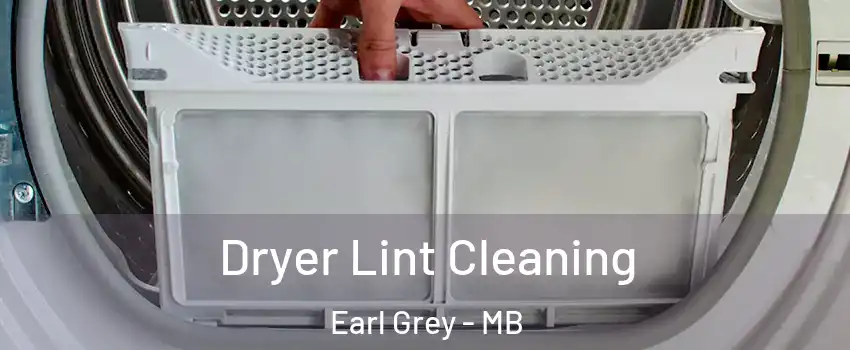  Dryer Lint Cleaning Earl Grey - MB