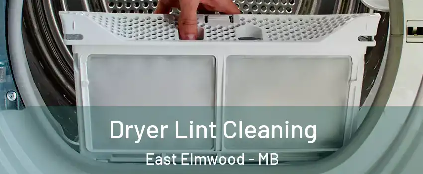  Dryer Lint Cleaning East Elmwood - MB