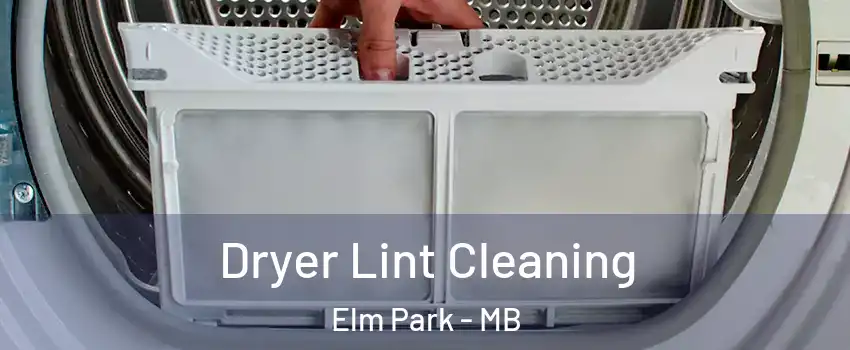  Dryer Lint Cleaning Elm Park - MB